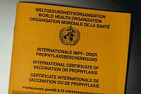 International Document